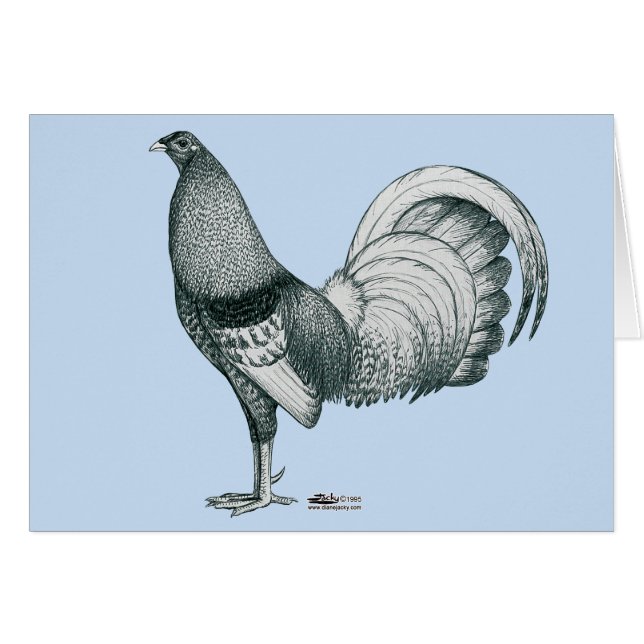 Gamecock Crele of Dom (Voorkant Horizontaal)