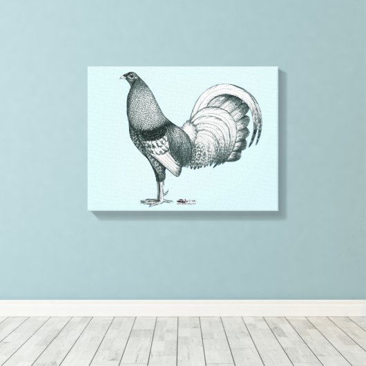 Gamecock Crele of Dom Canvas Afdruk (Insitu (Houten vloer))