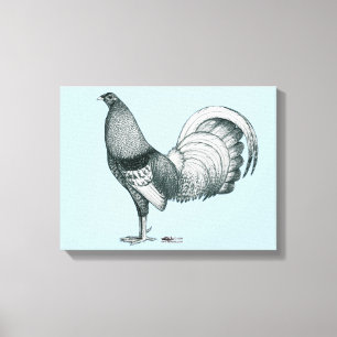 Gamecock Crele of Dom Canvas Afdruk