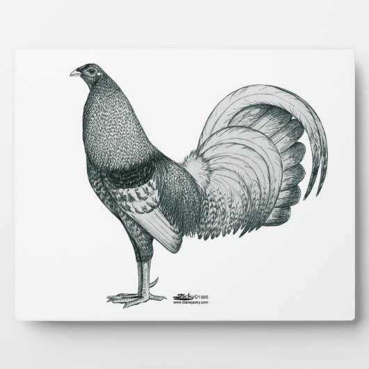 Gamecock Crele of Dom Fotoplaat (Voorkant)
