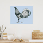 Gamecock Crele of Dom Poster (Keuken)