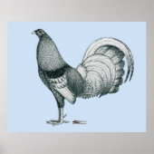 Gamecock Crele of Dom Poster (Voorkant)