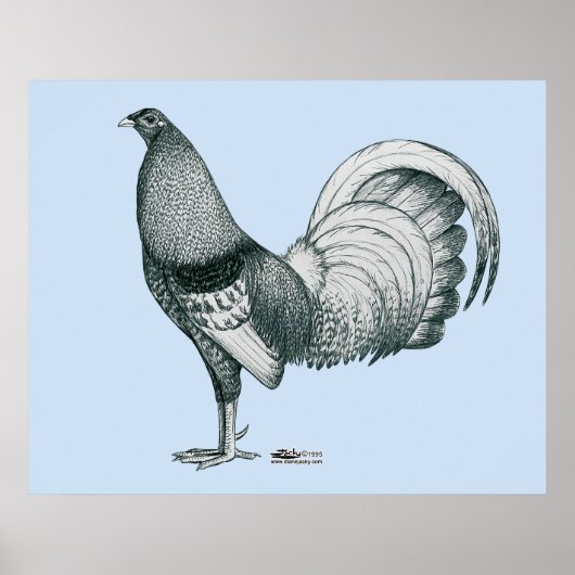 Gamecock Crele of Dom Poster (Voorkant)