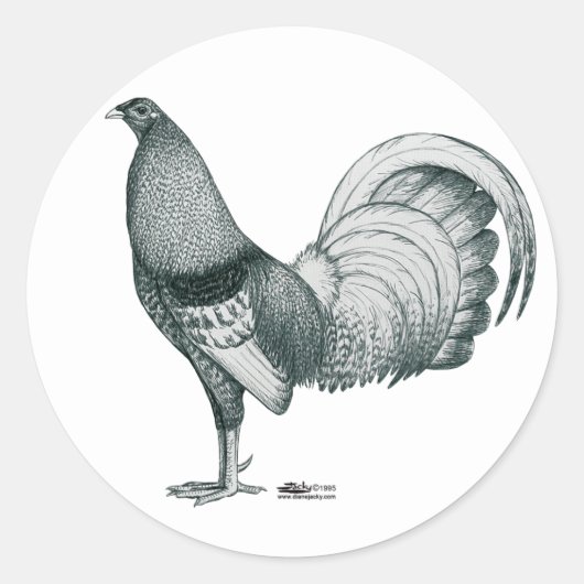 Gamecock Crele of Dom Ronde Sticker (Voorkant)