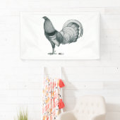 Gamecock Crele of Dom Spandoek (Insitu)