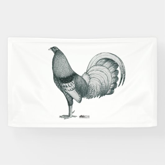 Gamecock Crele of Dom Spandoek (Horizontaal)