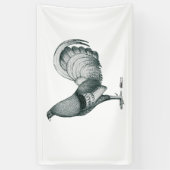 Gamecock Crele of Dom Spandoek (Verticaal)
