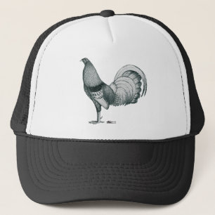 Gamecock Crele of Dom Trucker Pet