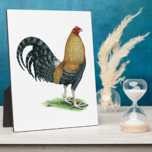 Gamecock: Dom of Crele Fotoplaat