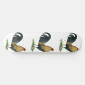 Gamecock:  Dom of Crele Skateboard (Horizontaal)