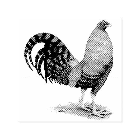 Gamecock: Dom of Crele Zelfinktende Stempel (Design)