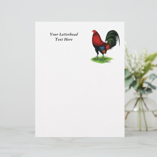 Gamecock: Donkerrood (Staand voorkant)