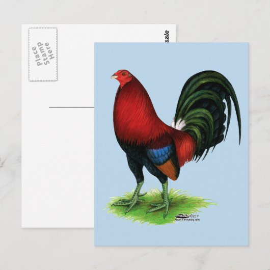 Gamecock:  Donkerrood Briefkaart (Voorkant / Achterkant)