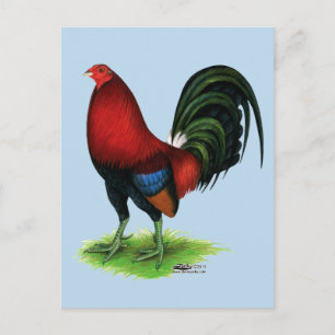 Gamecock:  Donkerrood Briefkaart