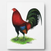 Gamecock: Donkerrood Fotoplaat (Voorkant)