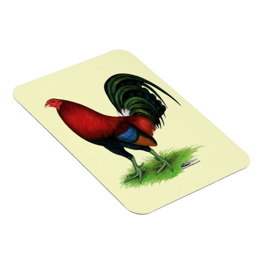 Gamecock: Donkerrood Magneet (Rechterzijde)