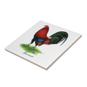 Gamecock:  Donkerrood Tegeltje (Zijkant)