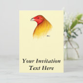 Gamecock Dubbed Kaart (Staand voorkant)