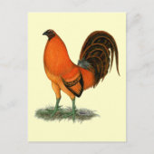 Gamecock Ginger Red Rooster Briefkaart (Voorkant)
