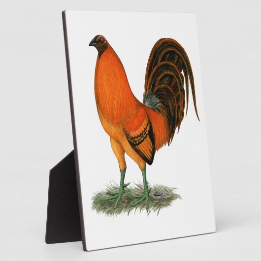 Gamecock Ginger Red Rooster Fotoplaat (Zijkant)