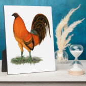 Gamecock Ginger Red Rooster Fotoplaat (Zijkant)