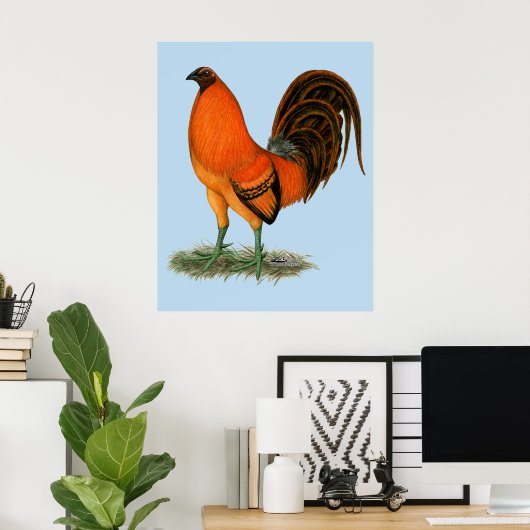Gamecock Ginger Red Rooster Poster (Thuiskantoor)