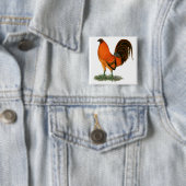 Gamecock Ginger Red Rooster Vierkante Button 5,1 Cm (In situ)