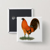 Gamecock Ginger Red Rooster Vierkante Button 5,1 Cm (Voorkant /achterkant)