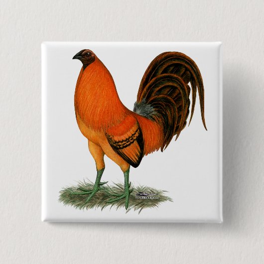 Gamecock Ginger Red Rooster Vierkante Button 5,1 Cm (Voorkant)