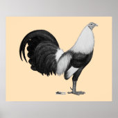Gamecock Grey Duckwing Poster (Voorkant)