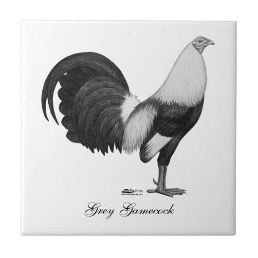 Gamecock Grey Duckwing Tegeltje (Voorkant)