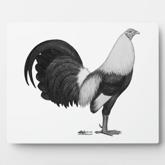 Gamecock Grijze Duckwing Fotoplaat (Voorkant)