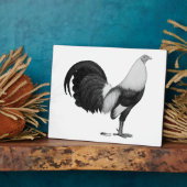 Gamecock Grijze Duckwing Fotoplaat (Zijkant)