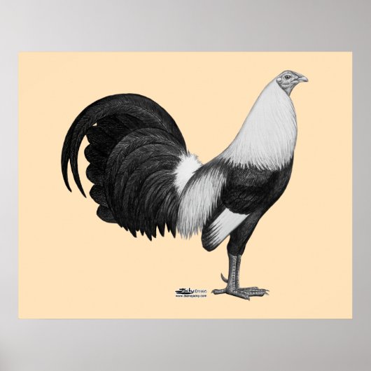 Gamecock Grijze Duckwing Poster (Voorkant)