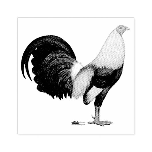 Gamecock Grijze Duckwing Rubberstempel (Afrduk)