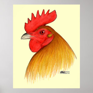 Gamecock Haan Enkele Kam Poster