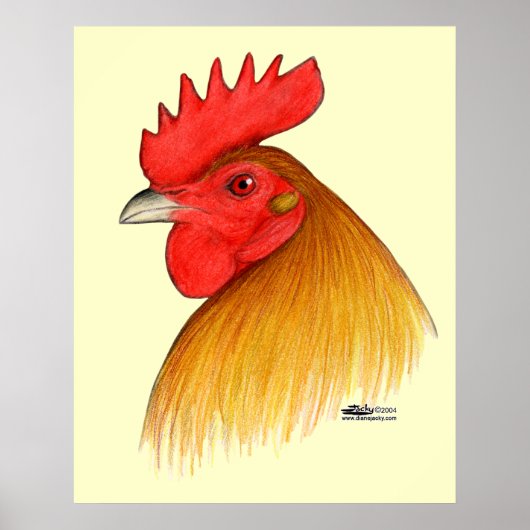 Gamecock Haan Enkele Kam Poster (Voorkant)