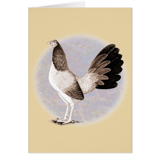 Gamecock: Hennie (Voorkant)