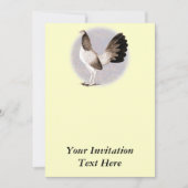 Gamecock: Hennie Kaart (Voorkant)