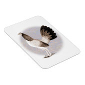 Gamecock: Hennie Magneet (Rechterzijde)