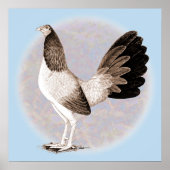 Gamecock: Hennie Poster (Voorkant)