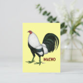 Gamecock Macho Duckwing Briefkaart (Staand voorkant)