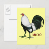 Gamecock Macho Duckwing Briefkaart (Voorkant / Achterkant)