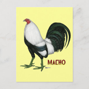 Gamecock Macho Duckwing Briefkaart