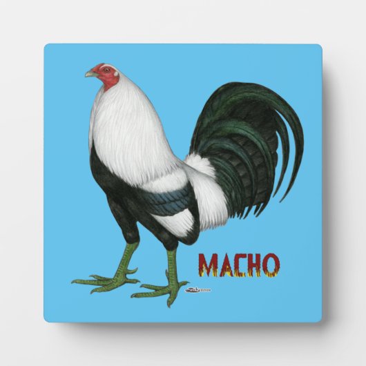 Gamecock Macho Duckwing Fotoplaat (Voorkant)
