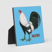 Gamecock Macho Duckwing Fotoplaat (Voorkant)