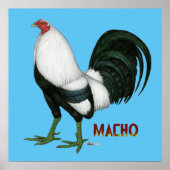 Gamecock Macho Duckwing Poster (Voorkant)