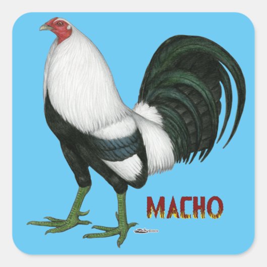 Gamecock Macho Duckwing Vierkante Sticker (Voorkant)