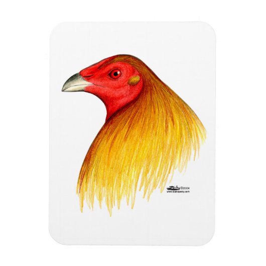 Gamecock Ontwied Magneet (Verticaal)