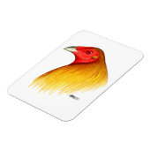 Gamecock Ontwied Magneet (Linkerzijde)